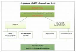  Структура МБДОУ "Детский сад №11"